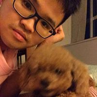 Yi Huei Lew的照片