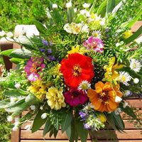 Nelly Sonnenschein's Photo