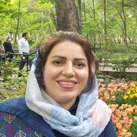 zore traveler的照片