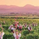 2026 Kazanlak Rose Festival's picture