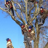 Craig Currie's Photo