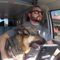 Fotos von Andrew Borowski