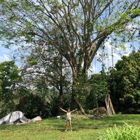 Fotos von Hélène Lambrot