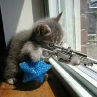 Kihei Maui2的照片