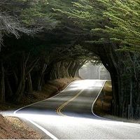 Darya Assemani's Photo