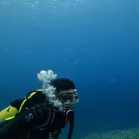 Abednego Sianipar的照片