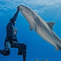 Michael Dornellas's Photo