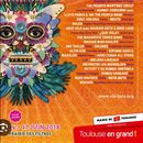 Festival RIO LOCO 's picture