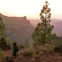 Fotos de Laura Micó