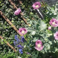 Mirte Hakkert Jevsevar的照片