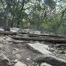 Last Minute Early Morning HIKE's picture