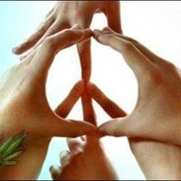 Bastos v.Horik's Photo