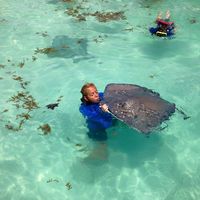 Fotos de Lindsey Mobley