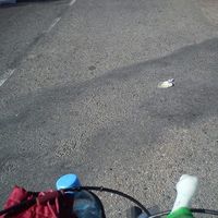 Fotos de Leila Remedi