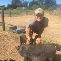 Rachel Shevrin's Photo