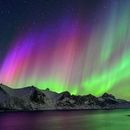 Northern Lights Adventure 's picture