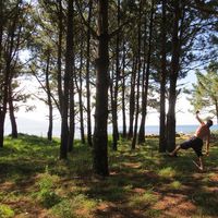 Phillip Taubenheim's Photo