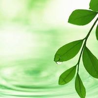 Ariel Lenning's Photo