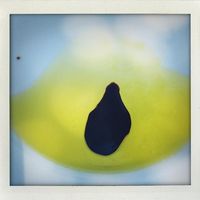 Photos de Mehrdad Varzandeh