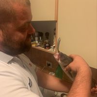 Zoran Ozegovic's Photo