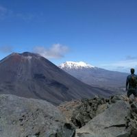 Fotos de Lion Ziegler