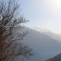 Helaleh khosravi's Photo