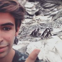 Zdjęcia użytkownika Pablo Iáñez Picazo