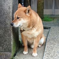 Chen Mengyuan's Photo