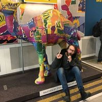 Alexi Kogon的照片