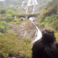 Mercy Mochary的照片