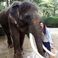 Marcia Yoshida's Photo