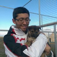 Corey Sutch的照片