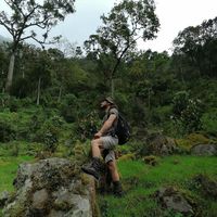 ANTHONY PACELLI的照片