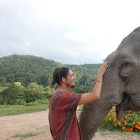 Photos de Alessandro Longo