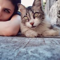 Sofia Malacco的照片