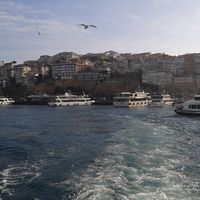 Havvanur Ataoğlu的照片