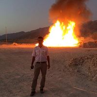 Mehrdad Shomali的照片