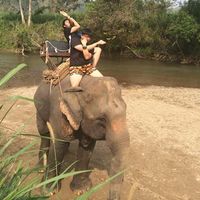 Nakion Choi的照片