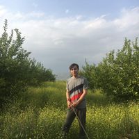 Amir Mahmoodzadeh's Photo