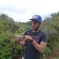 Fotos de Vincent Fauché