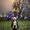 Hanieh Rahmani's Photo