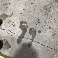 修昌 渡辺's Photo