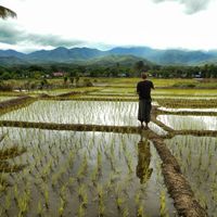 Fotos de Mikoláš Belec