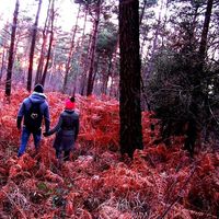 Maïa Cichon的照片