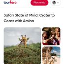 Safari State Of Mind 's picture