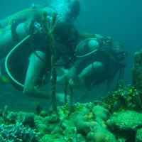 Fotos von Eduardo Dudu