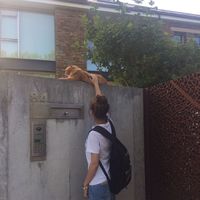 Antía Otero的照片