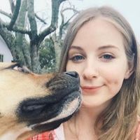 Mikaila Sterrey's Photo