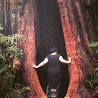 Rachel Wilcock的照片