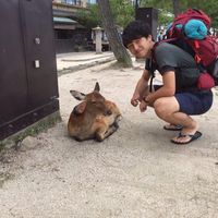 Shimizu Tomoyuki's Photo